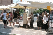 Sculture_Cavino_ 2009 (170)
